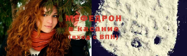 индика Нижний Тагил