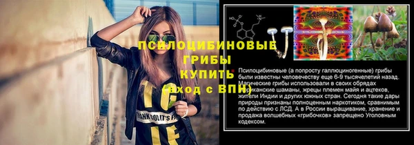 МДПВ Армянск